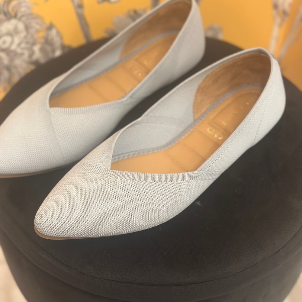 Elegant Women's Light blue/grey Flats